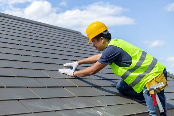 Best Affordable Roof Replacement  in Hollandale, MS