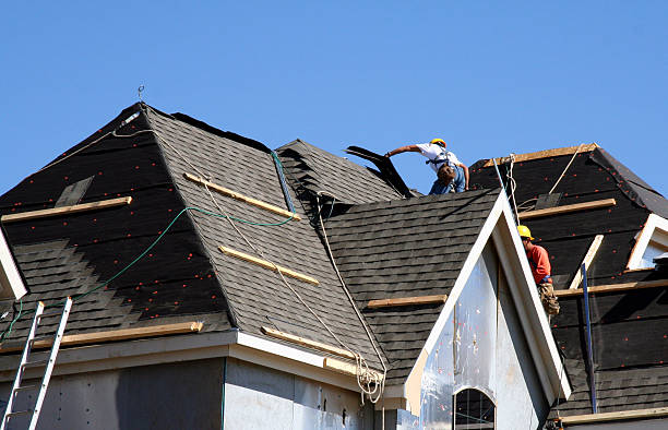 Best Flat Roof Repair Services  in Hollandale, MS