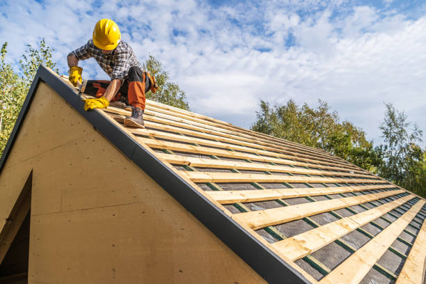 Best New Roof Installation  in Hollandale, MS