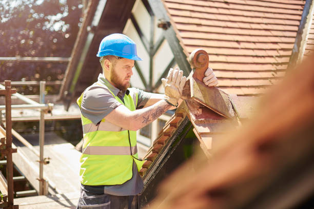 Best Roof Replacement Cost  in Hollandale, MS