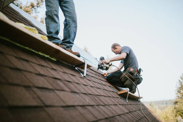 Best Roof Gutter Cleaning  in Hollandale, MS